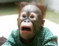 Bio Picture